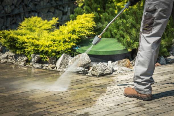 Best Pool Deck Cleaning  in Olga, FL