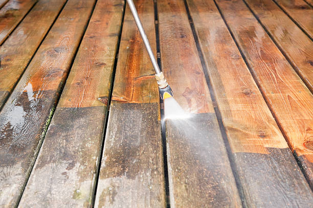 Best Gutter Cleaning  in Olga, FL